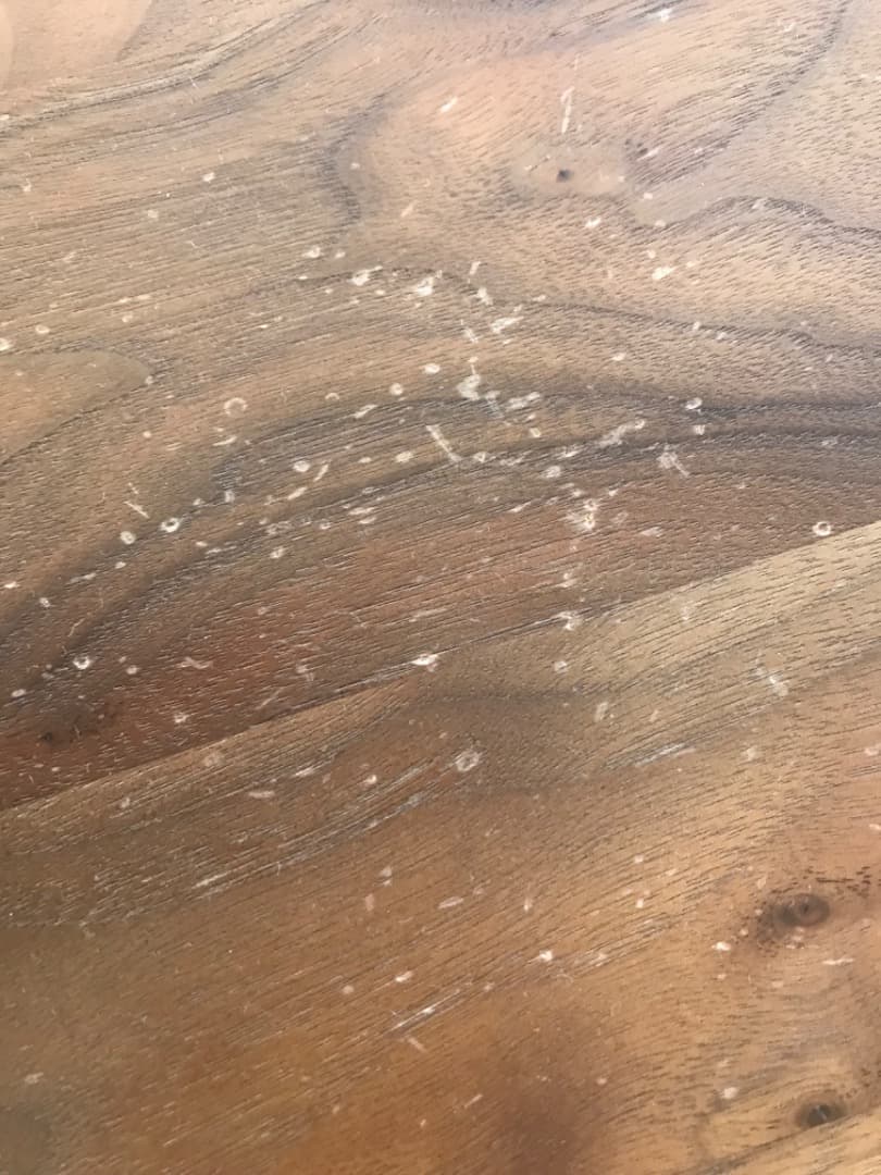 イームズ ターンドスツール