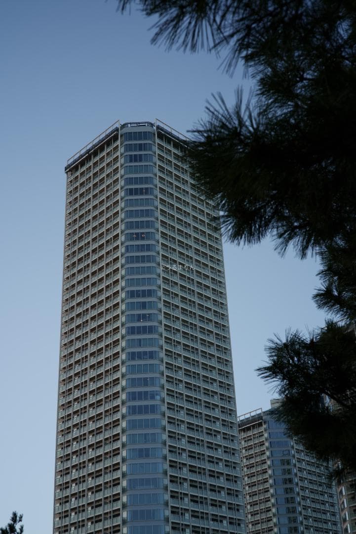 新品同様！Zeiss C Sonnar 50mm F1.5 ZM ライカM