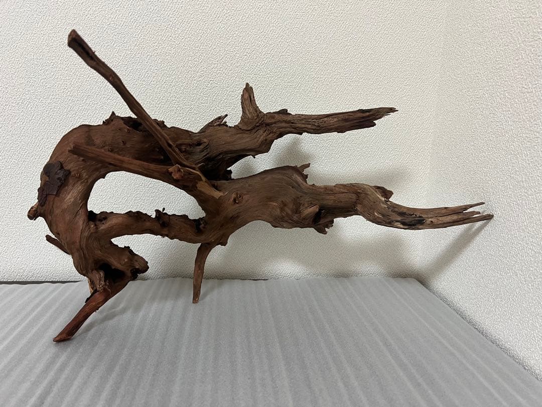 HX-076流木　ホーンウッド　マシンガンウッド　アクアリウム　ブランチウッド