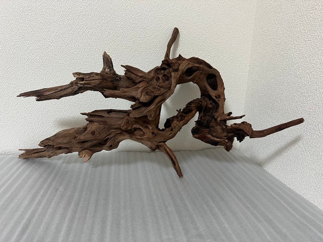 HX-076流木　ホーンウッド　マシンガンウッド　アクアリウム　ブランチウッド