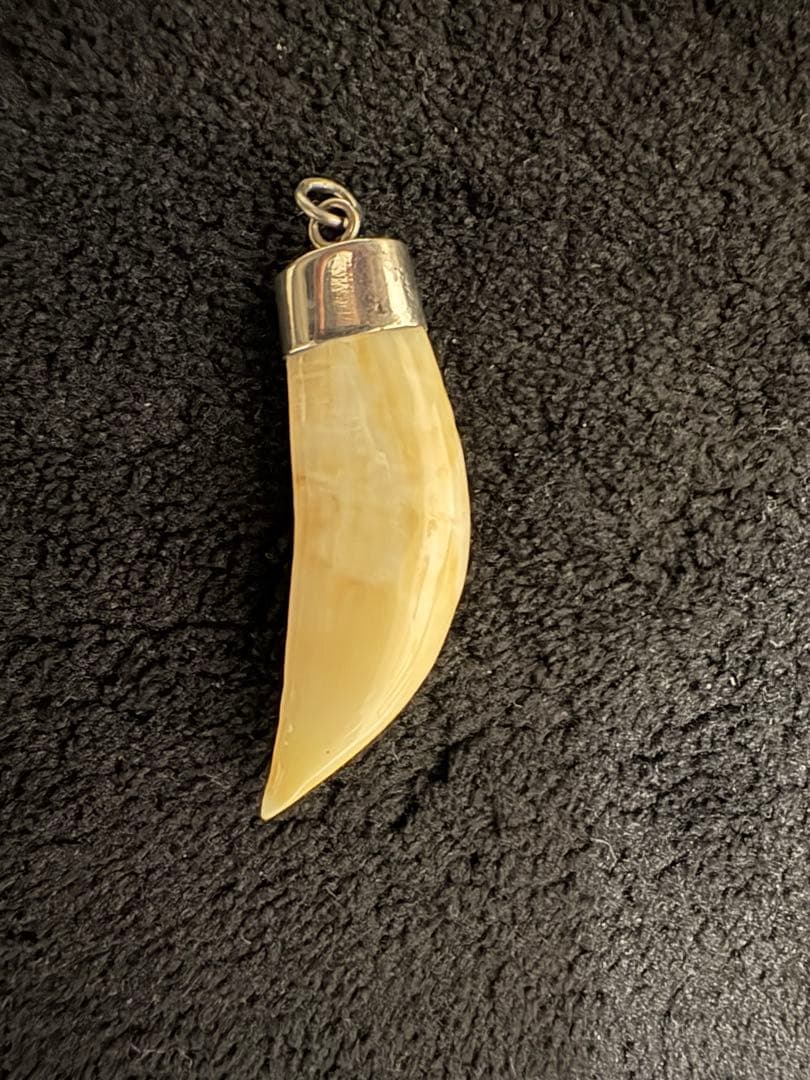 肉食動物　牙　ペンダント　アフリカ工芸品