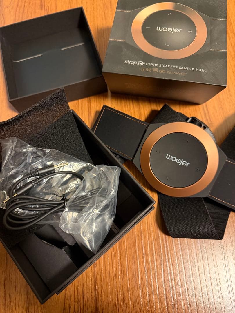 その他 Woojer Strap Edge