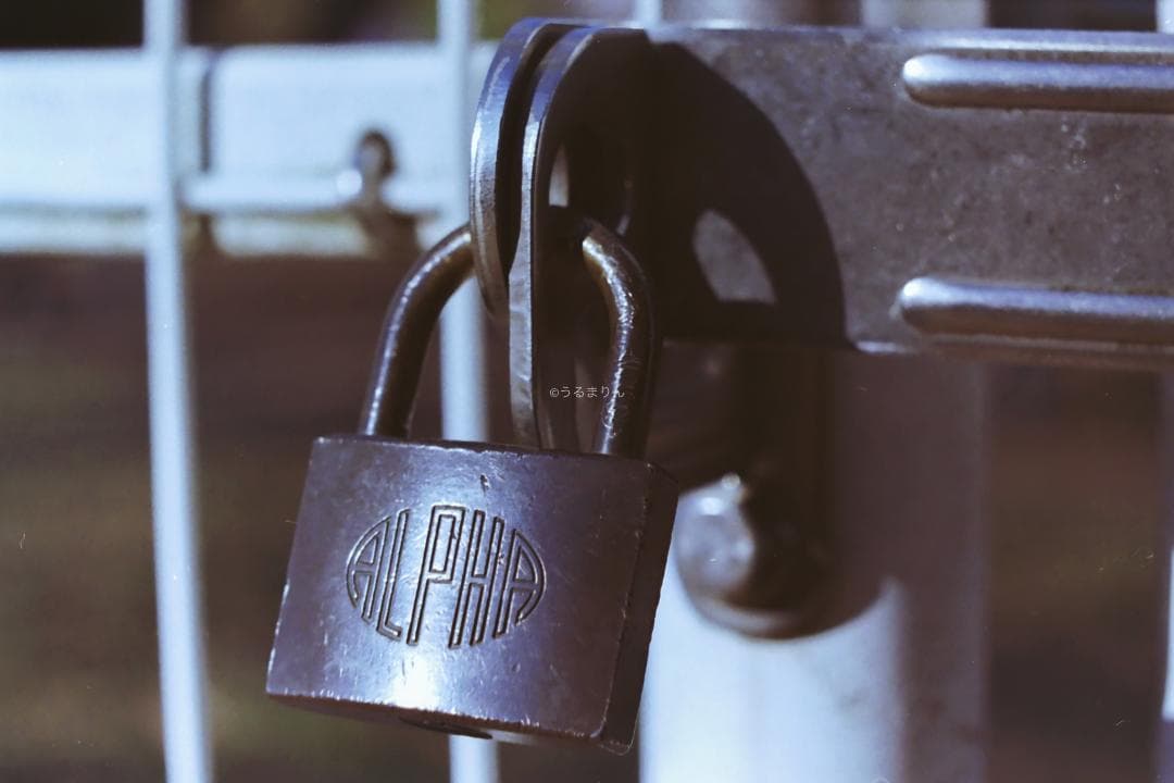 kotatsu様　最もシンプルなM型ライカ！Leica M1 フィルムカメラ