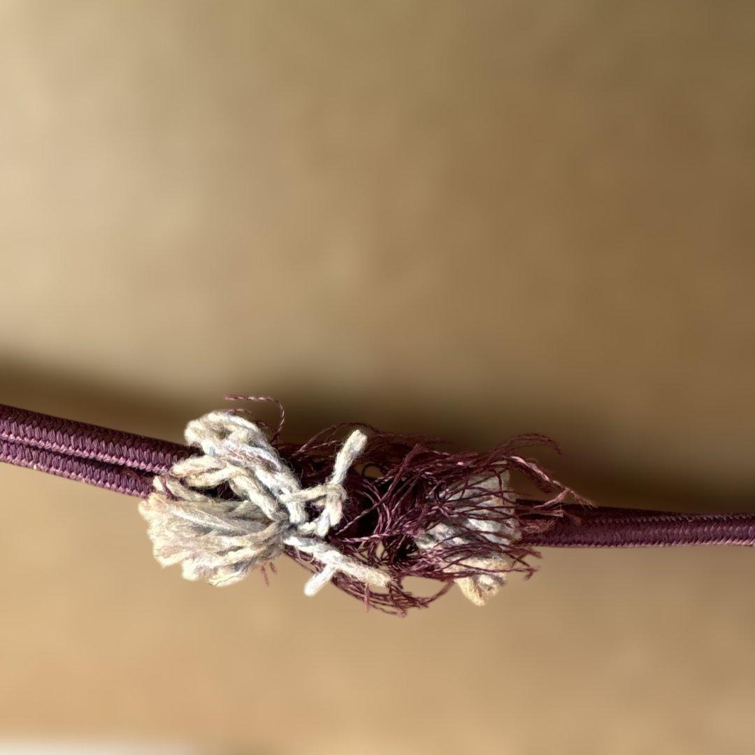 絵画　牡丹　　⚠️素人画