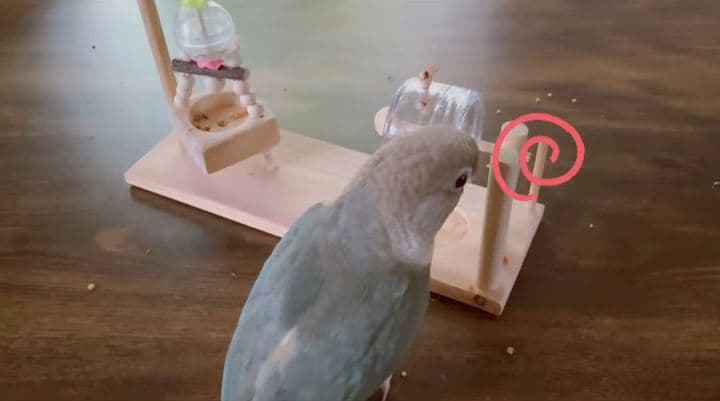 くるくる3点、吊り下げフォージングトイ色々セット　バードトイ　インコ