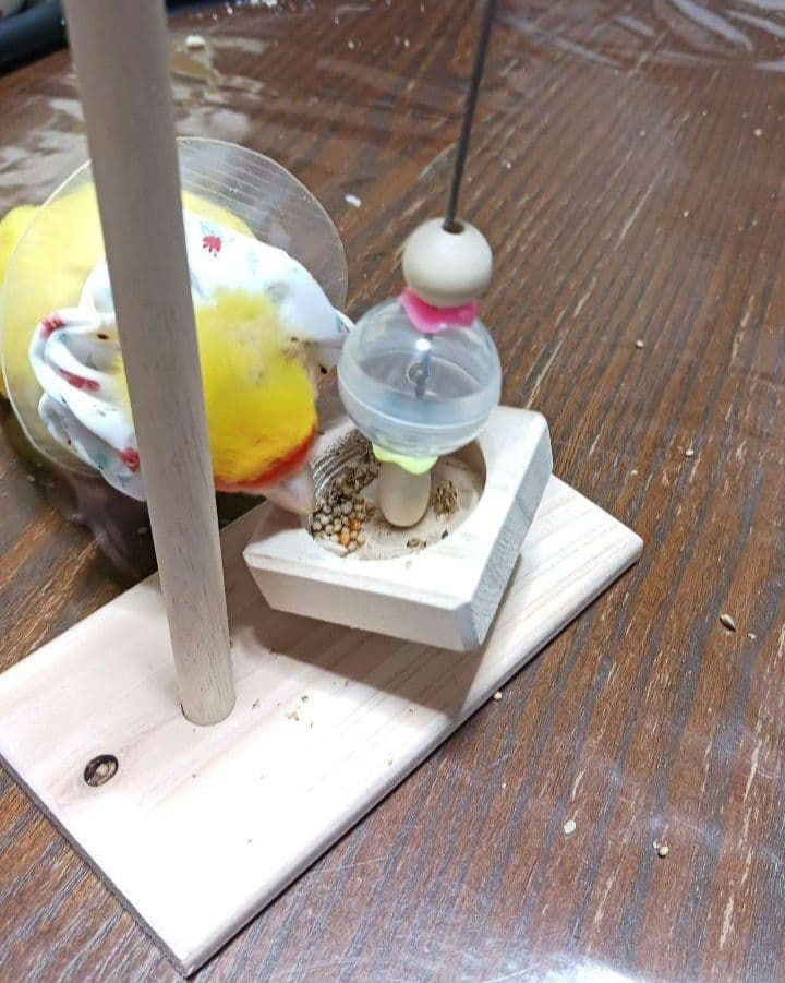 くるくる3点、吊り下げフォージングトイ色々セット　バードトイ　インコ