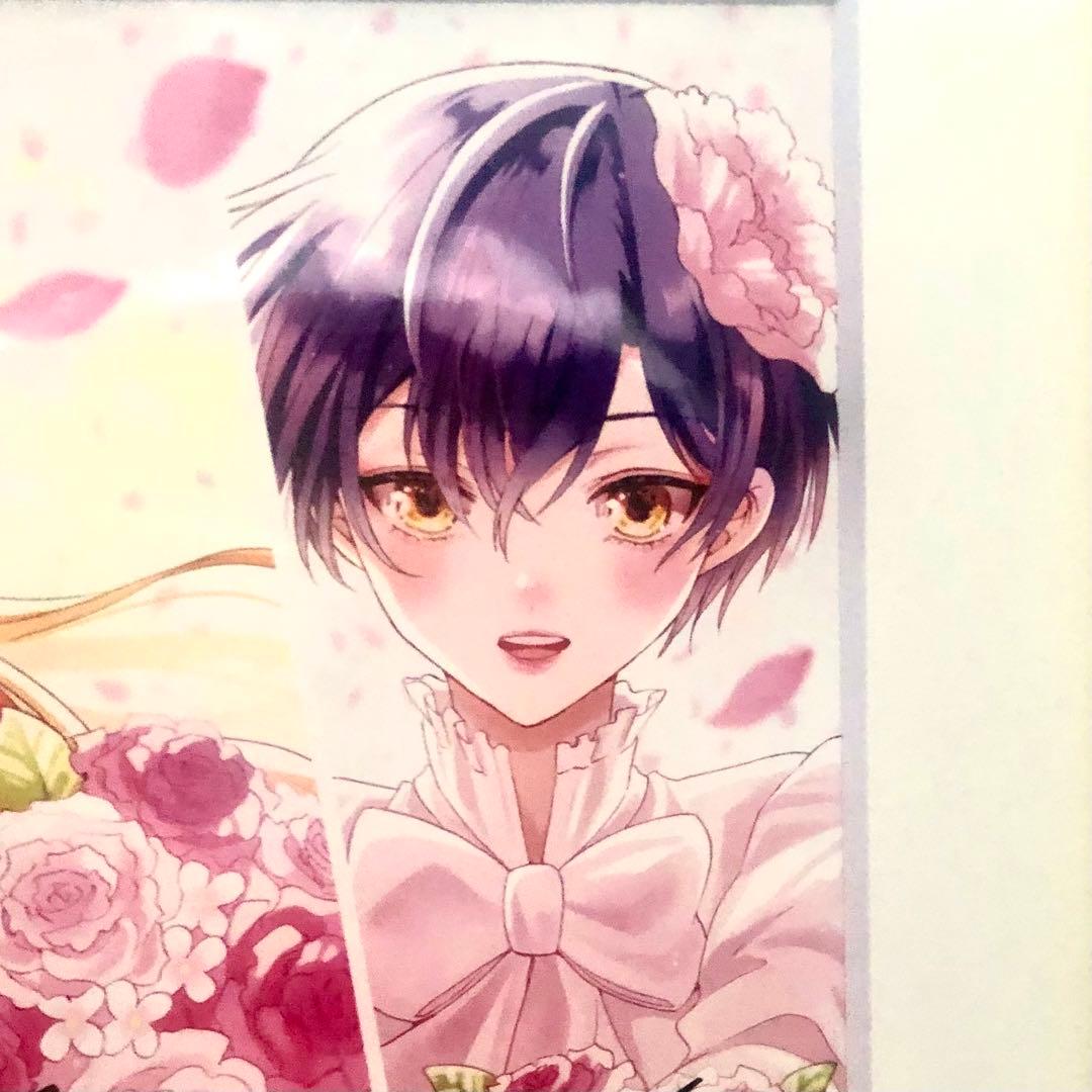 新品｜帝乃三姉妹は案外、チョロい。｜最高級複製原画｜ひらかわあや｜A5