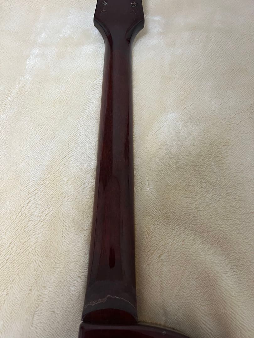 Epiphone Les Paul 抜け殻 ボディのみ ジャンク