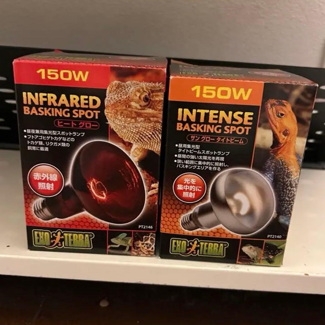 温室・飼育ケース kuroganeotome