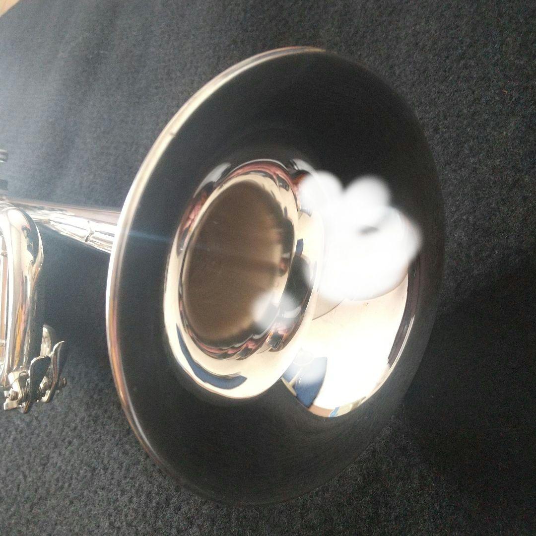 マルカートソフィアシリーズ。ヘビートリムキット付属