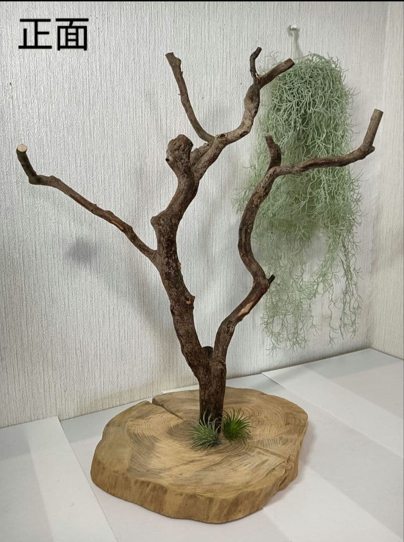 流木527　小鳥止まり木　卓上　バードアスレチック