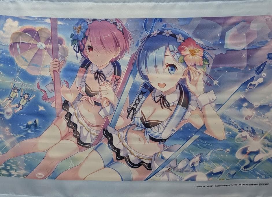 プリンセスコネクトRe:Dive リゼロ10名抽プレ レム＆ラムB2タペストリー