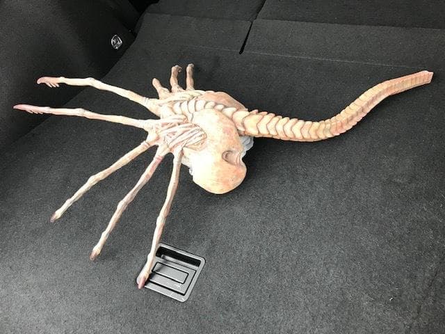 レア！クイーンフェイスハガー　1/1 組立塗装済み完成品　破損有り