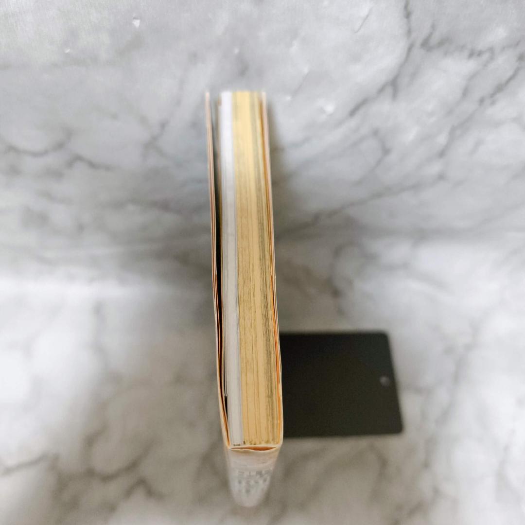 悪ノ大罪 悪徳のジャッジメント他10冊セット★悪ノP(mothy) PHP研究所