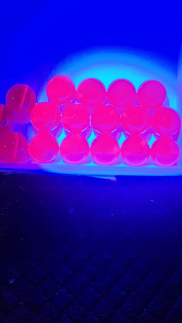 スタールビー19個