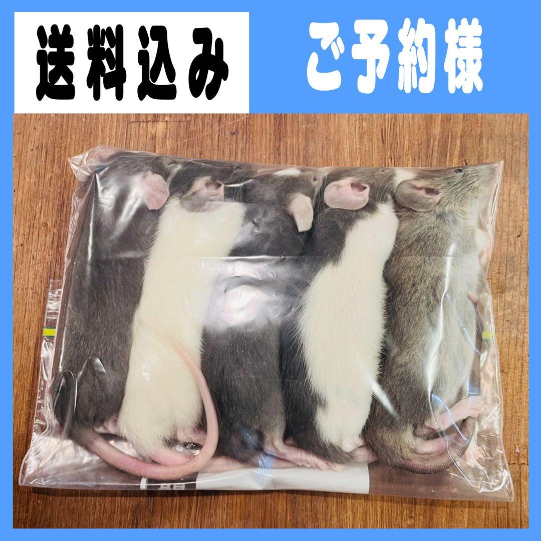 こーち フォーム