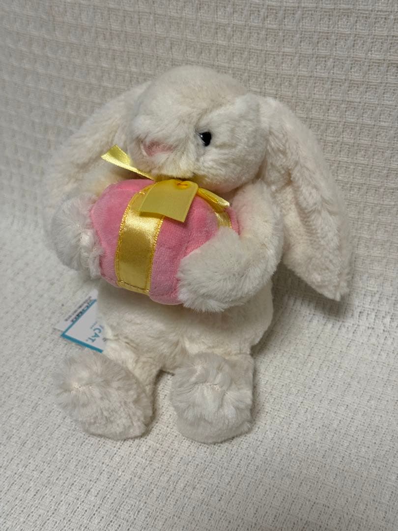 Bashful Bunny with Presentうさぎ 箱を持ったうさぎ