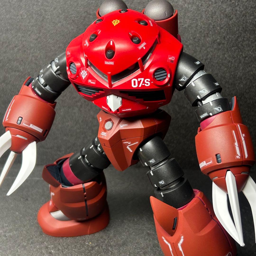 MG ズゴッグ　完成品