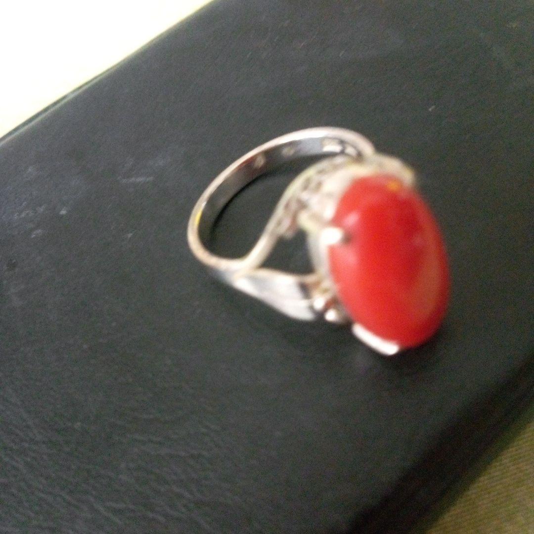 赤珊瑚K14WG指輪
