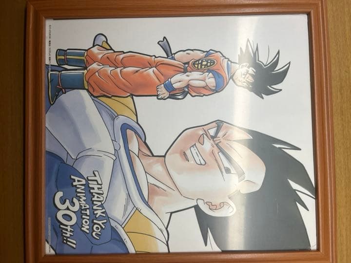 【ファン必見!】　ドラゴンボール　30th色紙