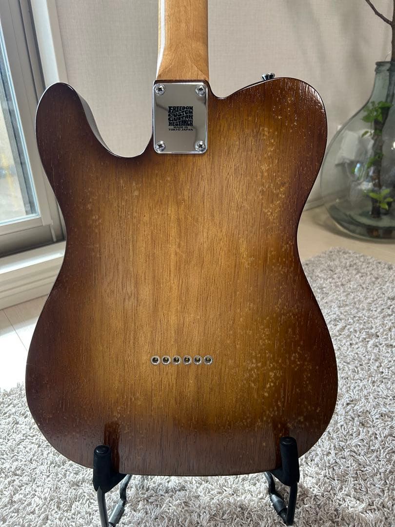 テレキャスターシンラインタイプ