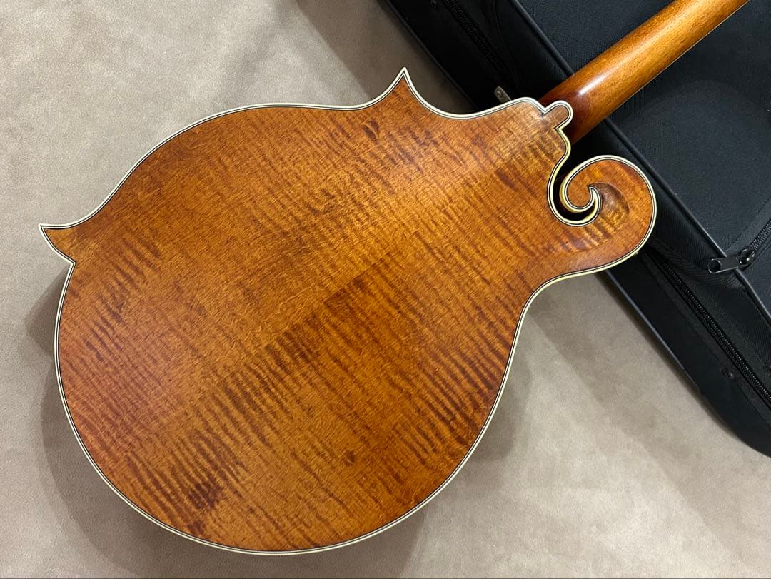 Epiphone MM-50E エレキ マンドリン エピフォン ハードケース