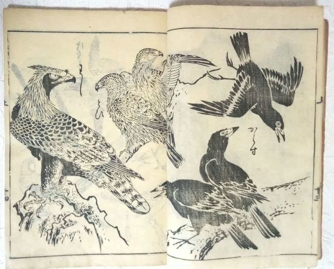 草木鳥獣諸職繪手本(黒摺り版画本)紀朝臣敏作画、伊舟屋善兵衛板、文政元年出版