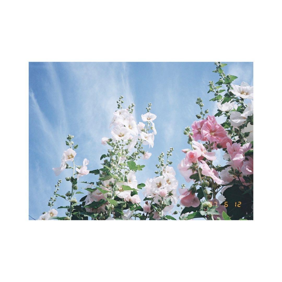 ⌘完動品！ 電池付き、作例あり！Nikon AD3⌘