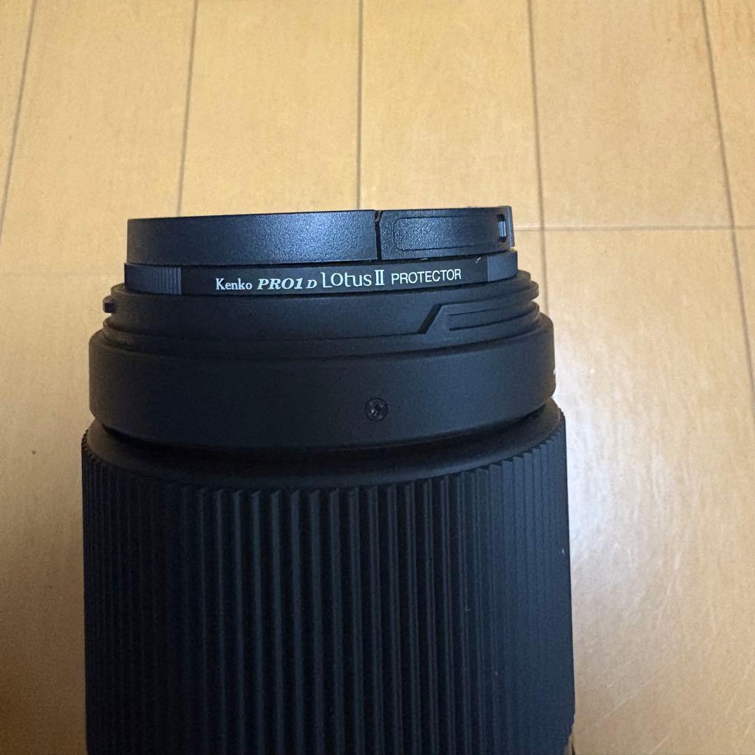 シグマ 100-400mm F5-6.3 DG DN OS フジフイルムX