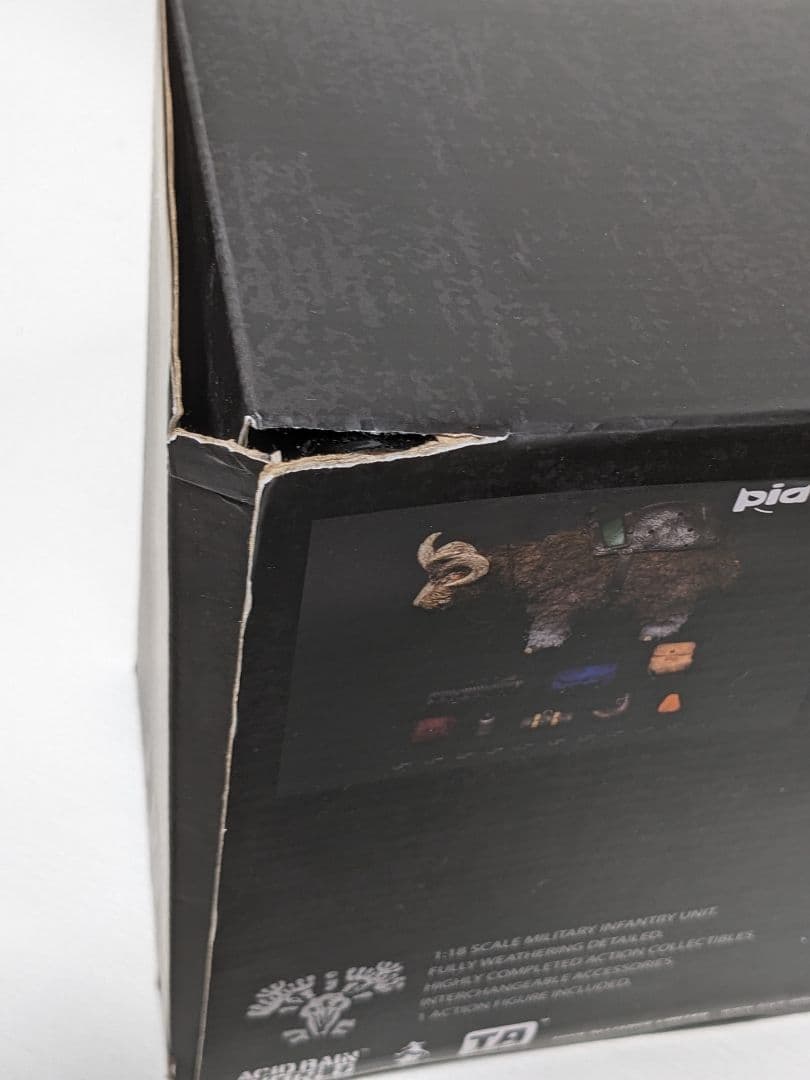 アシッドレイン　セット