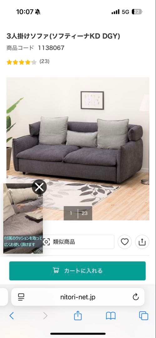 ニトリ　ソフティーナKD