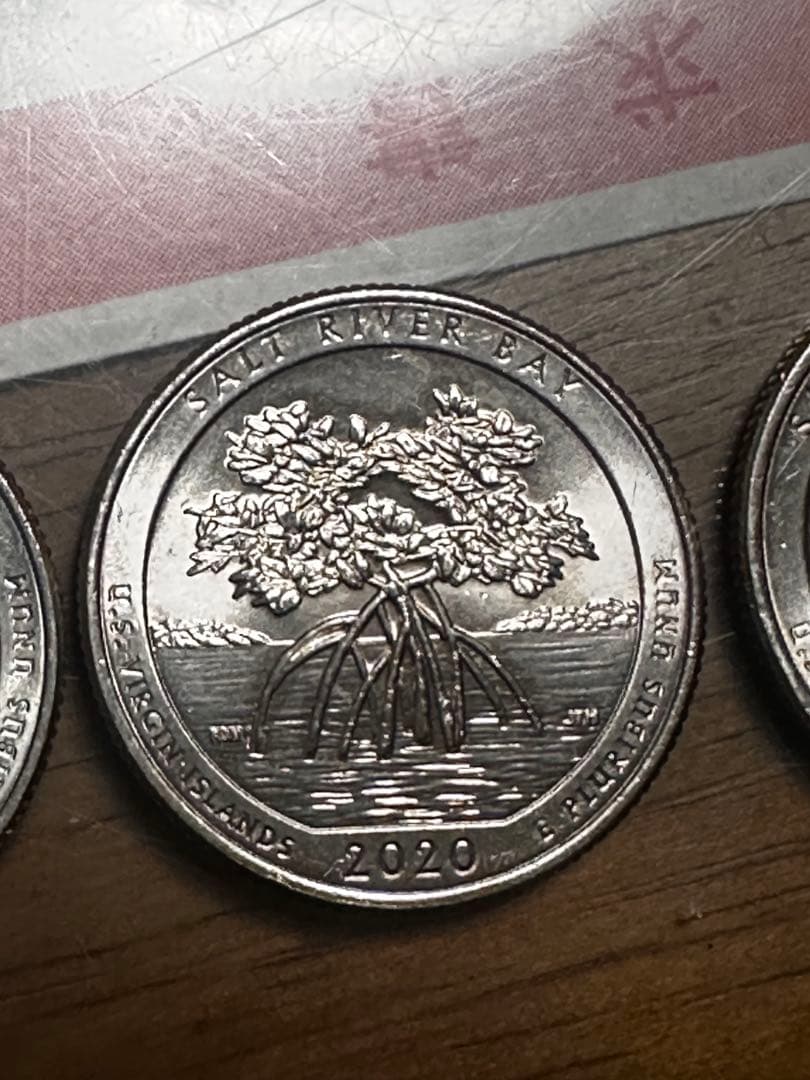2020年発行アメリカのソルトリバーベイ国立歴史公園記念25セント硬貨Pマーク