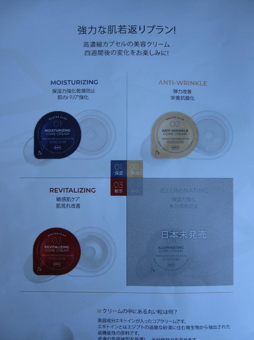 SKINIRON スキンアイロン　セット　韓国　美容　エステ　美顔器