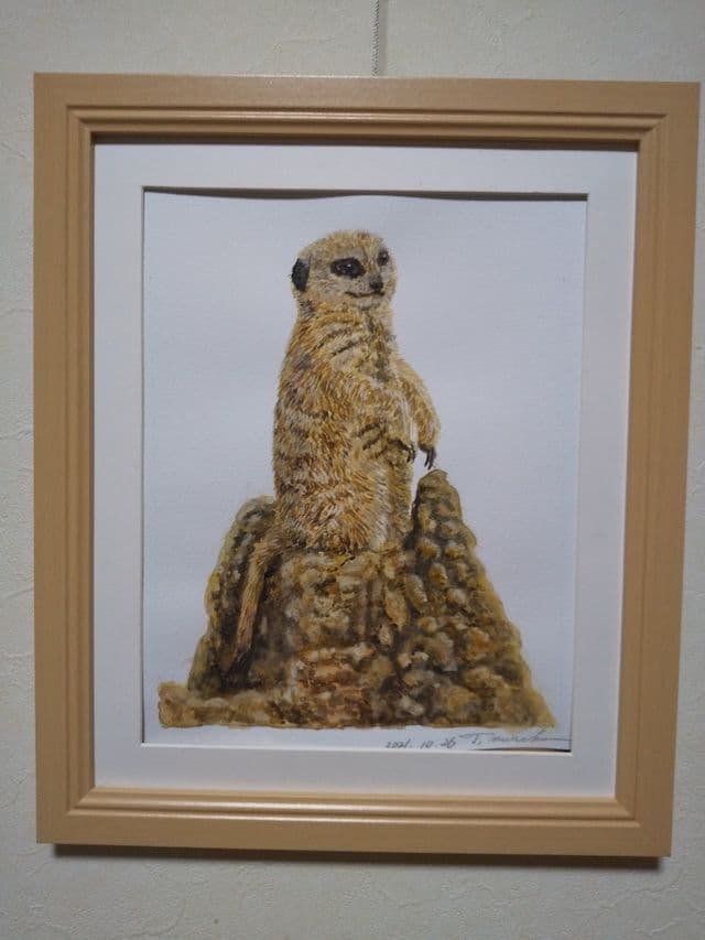 ミーアキャットさん