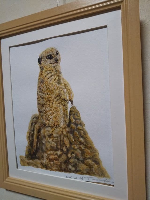 ミーアキャットさん