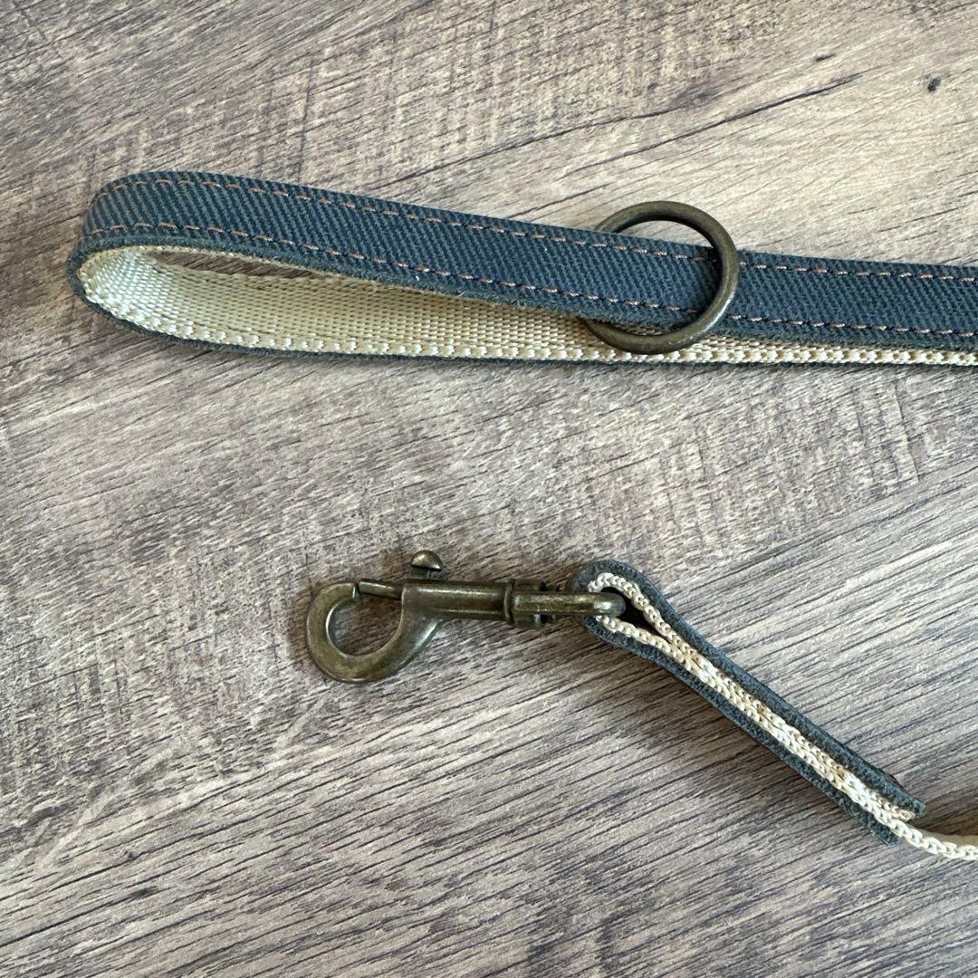 バディベルト　BB ブルージーン5号　ハーネス フルクリスタル　アクセントリード