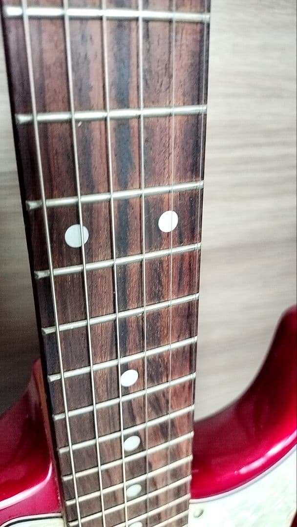 【海鮮丼さま専用】エレキギター