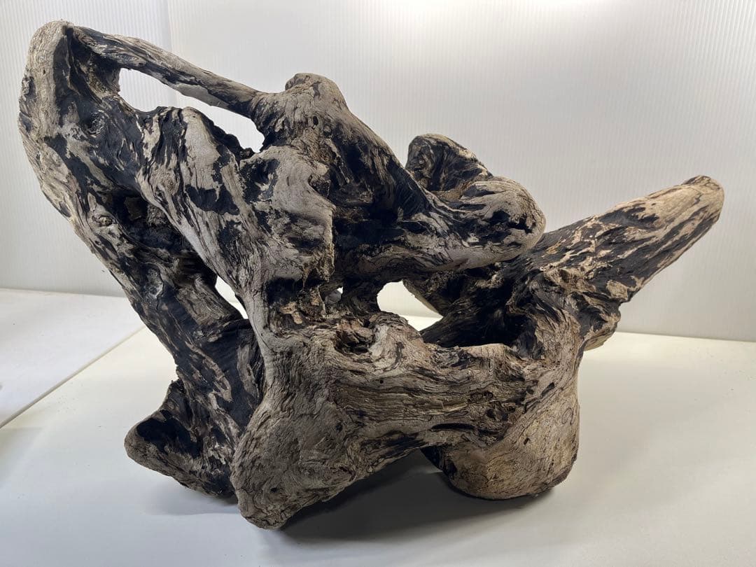 m46特大流木 大型流木 アク抜き済み 爬虫類シェルター レイアウト用 隠れ家