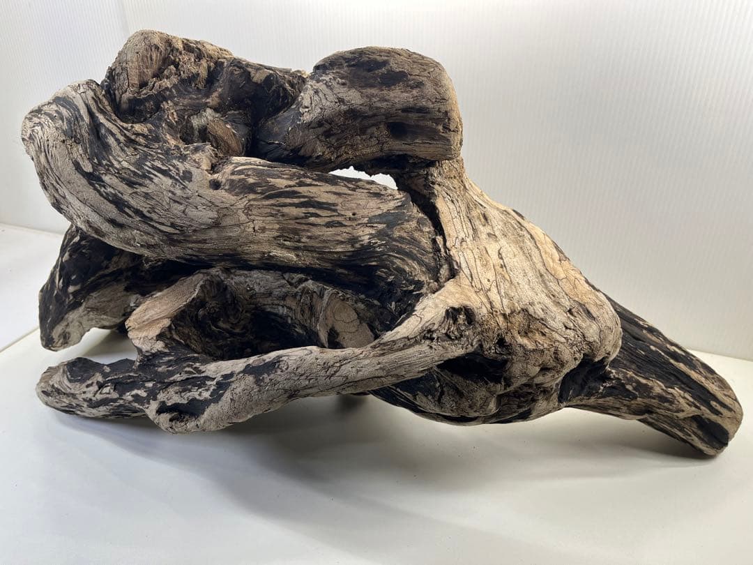 m46特大流木 大型流木 アク抜き済み 爬虫類シェルター レイアウト用 隠れ家