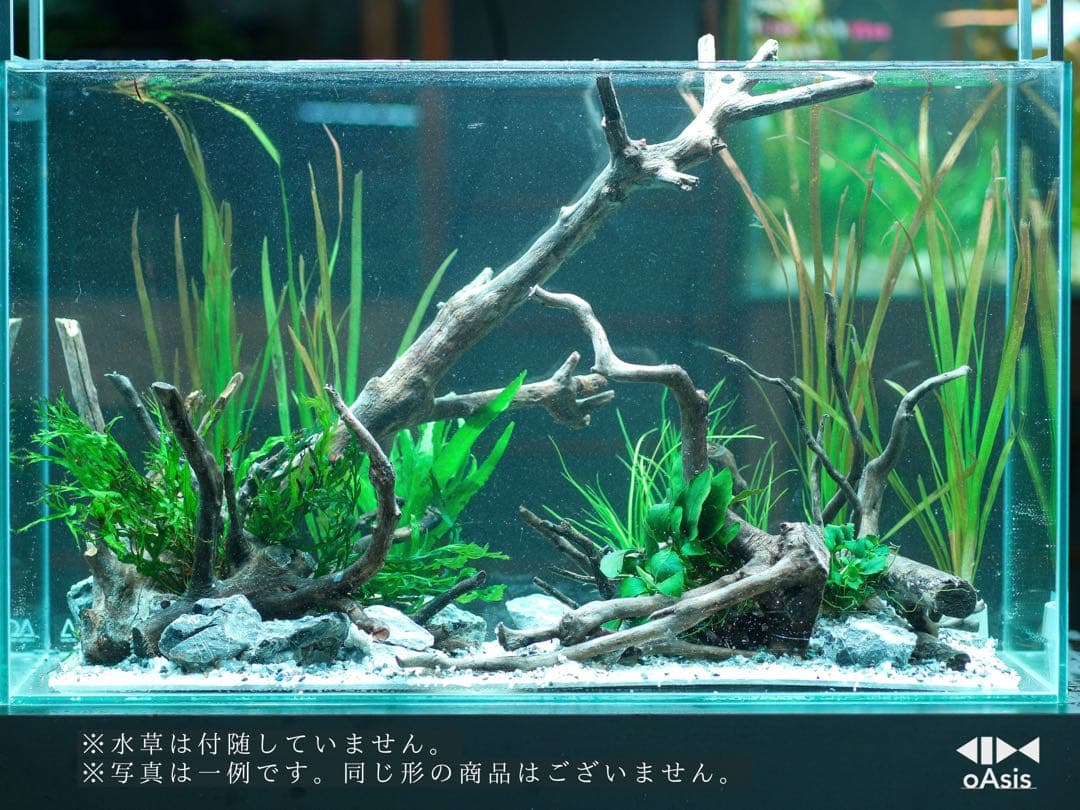 アクアリウム 流木 レイアウトセット 60cm 熱帯魚・水草水槽用