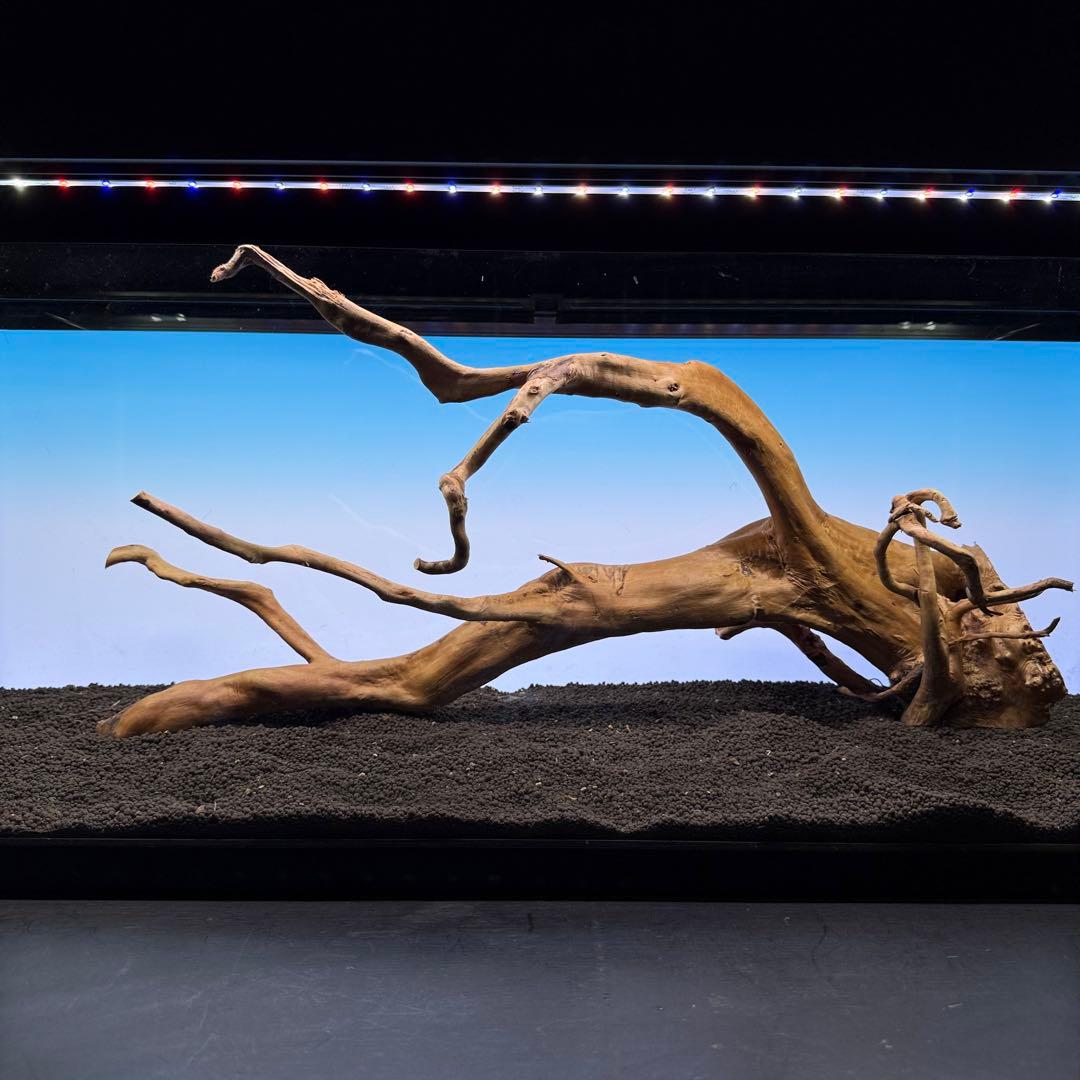 MDW-6921 特大ブランチウッド　流木　枝流木　アクアリウム