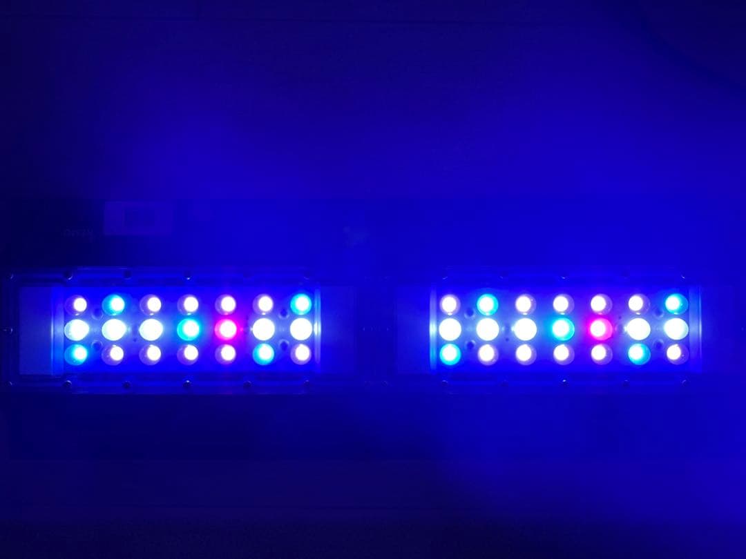 マーフィード NEMO LIGHT 2 アクアマリン45~60cm 海水 48W