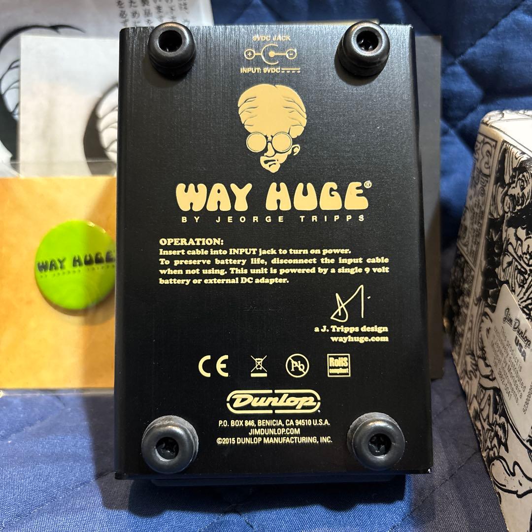 ギター way huge saucy box HC limited edition