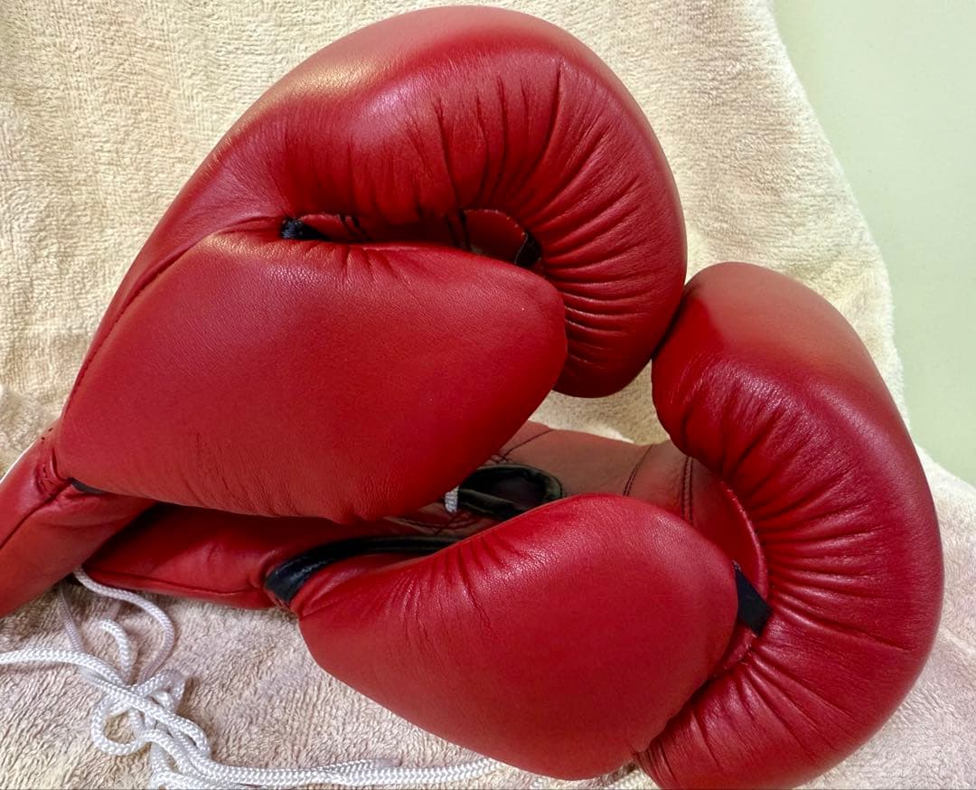 YOOYANG BIGSTAR ボクシンググローブ レッド