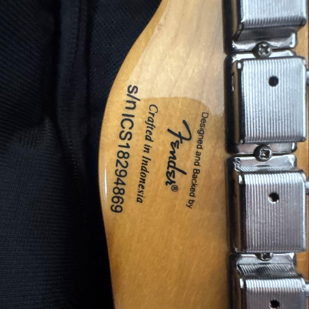 Squier by fender custom スクワイヤー テレキャスター