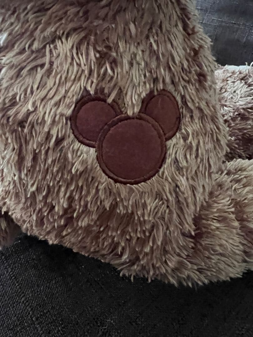 ディズニーワールド　レアダッフィー