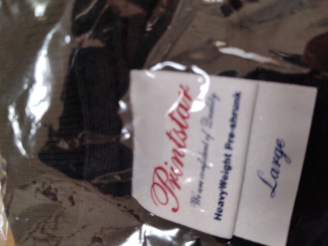 THE STARCLUB バンドT Tシャツ HIKAGE