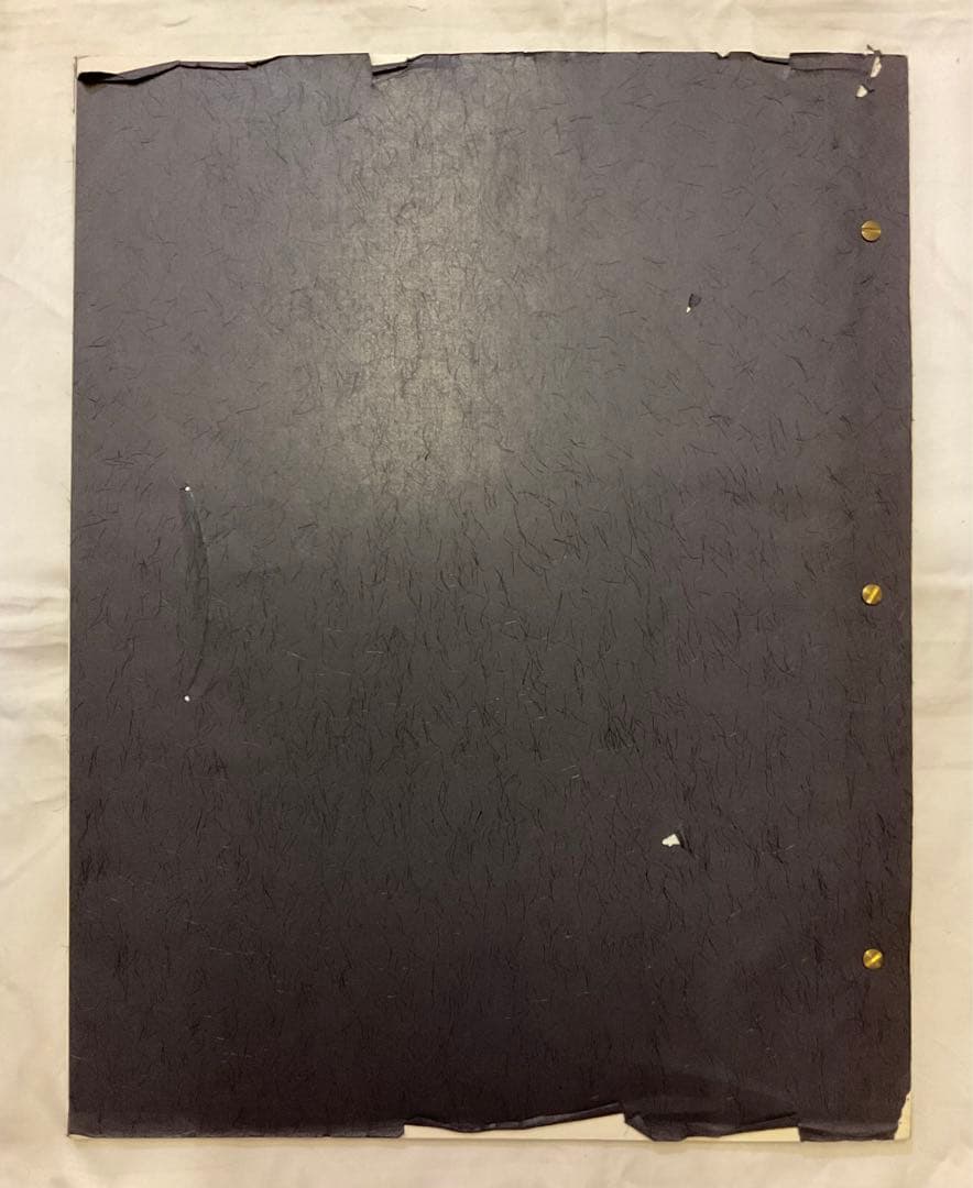 レア！distinction men's bigi ALASTAIR THAIN