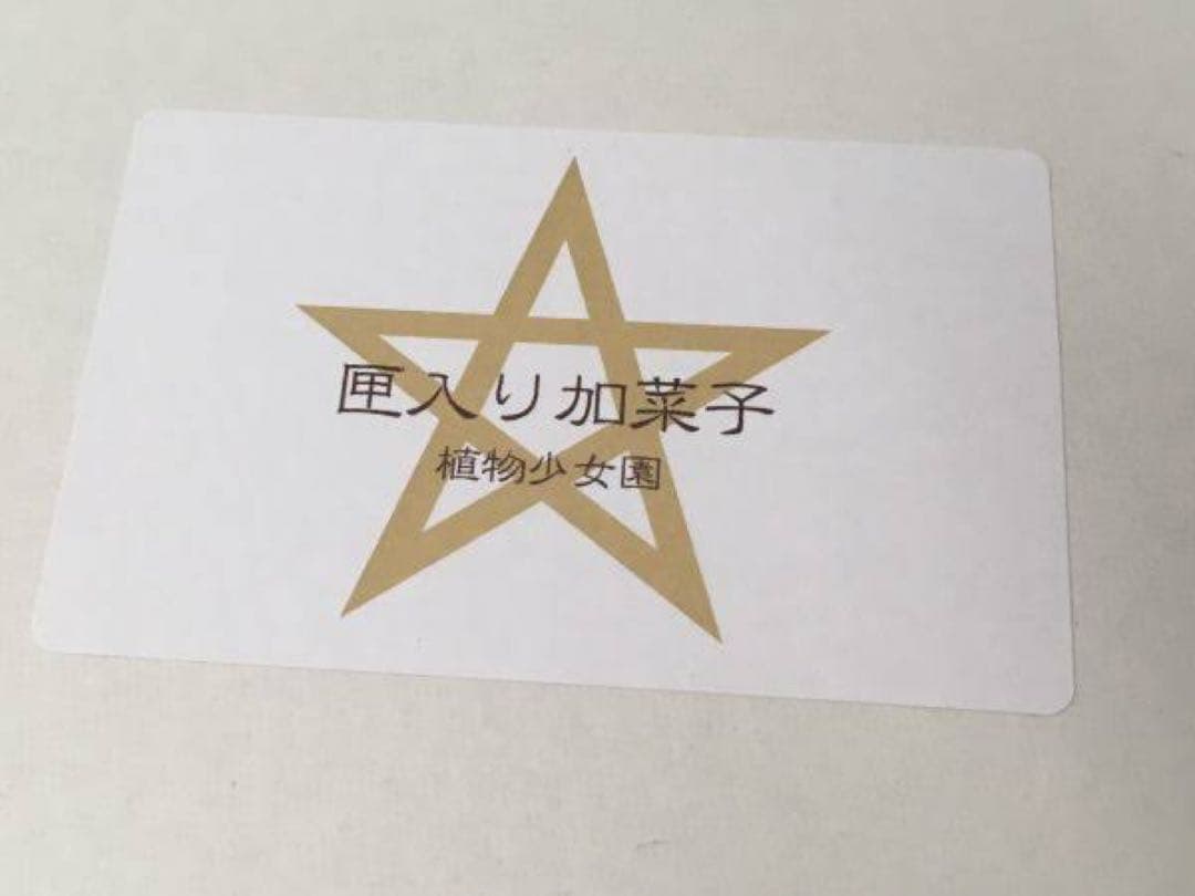 ガレージキット 魍魎の匣 「匣入り加菜子」