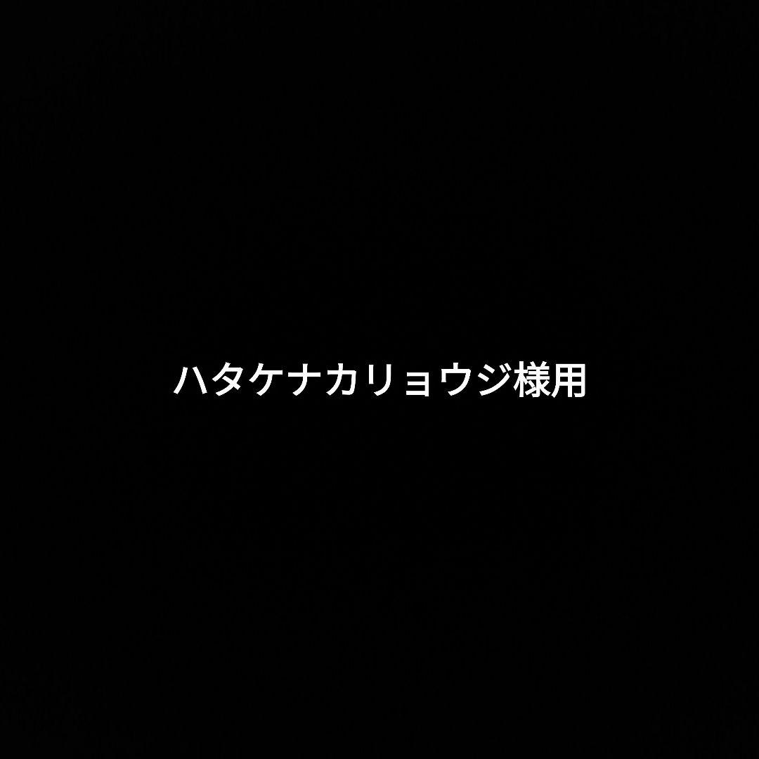 ハタケナカリョウジ様用